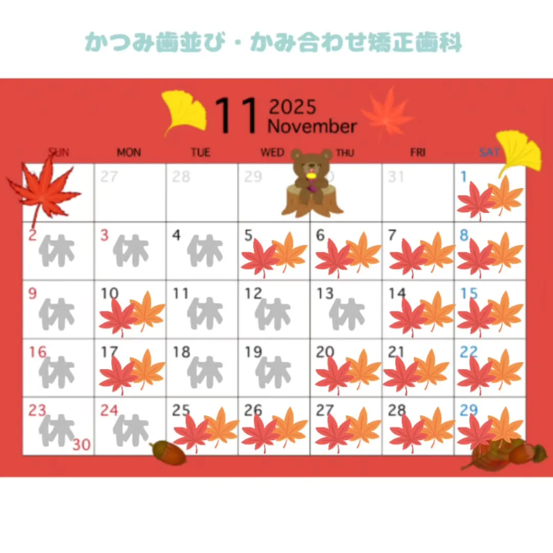 🍄11月の診療案内🍄